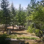 Poggio Eco *