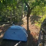 Poggio Eco *