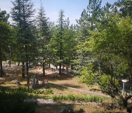 Poggio Eco *