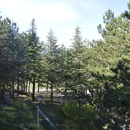 Bed & Breakfast Poggio Eco